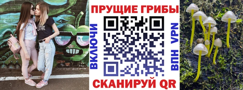 где продают наркотики  Чистополь  Псилоцибиновые грибы MAGIC MUSHROOMS 