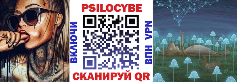 Псилоцибиновые грибы Cubensis Чистополь
